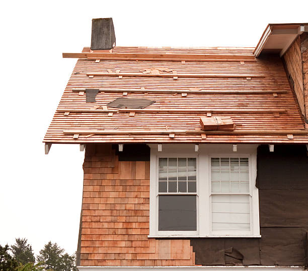 Trusted Palm Coast, FL Siding Experts